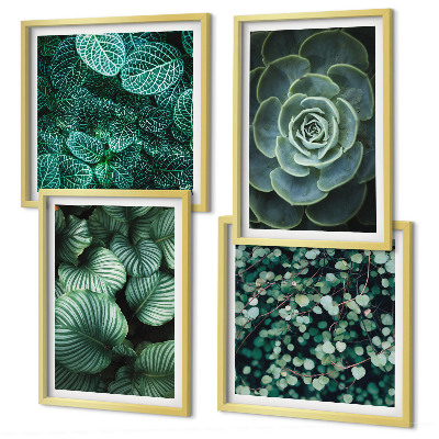 Set of 4 wall art pieces Green succulent leaves
