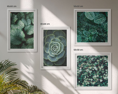 Set of 4 wall art pieces Green succulent leaves