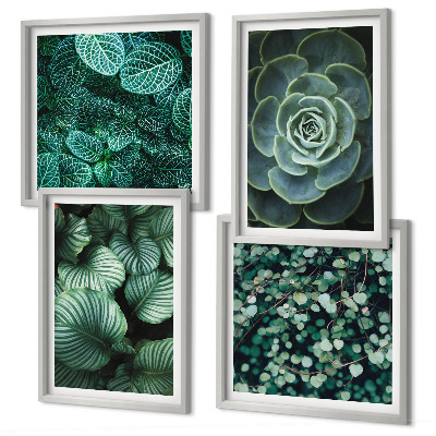 Set of 4 wall art pieces Green succulent leaves