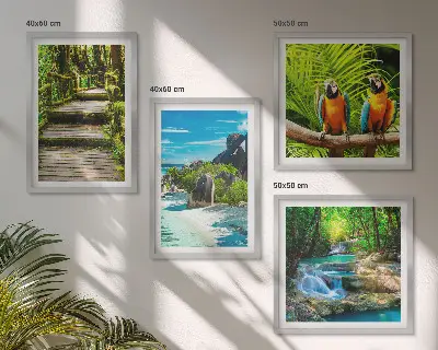 Tropical forest parrot and waterfall wall art set of 4 pieces