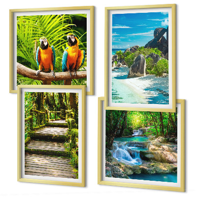 Set of 4 wall art pieces Tropical forest parrot waterfall