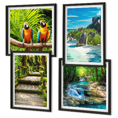 Set of 4 wall art pieces Tropical forest parrot waterfall