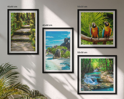 Set of 4 wall art pieces Tropical forest parrot waterfall