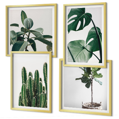 Set of 4 wall art pieces Tropical plants aesthetics