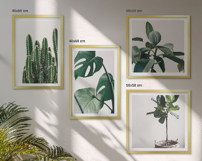 Set of 4 wall art pieces Tropical plants aesthetics