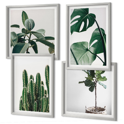 Set of 4 wall art pieces Tropical plants aesthetics