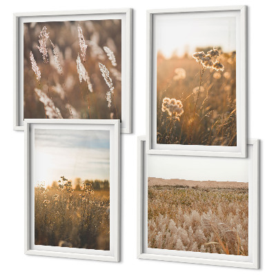 Set of 4 wall art pieces Summer meadows flowers sunset