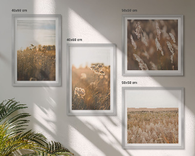 Set of 4 wall art pieces Summer meadows flowers sunset