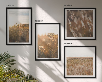 Set of 4 wall art pieces Summer meadows flowers sunset