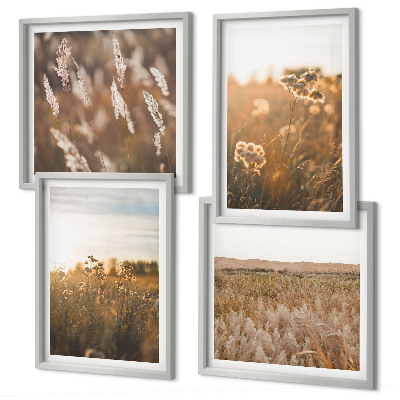 Set of 4 wall art pieces Summer meadows flowers sunset