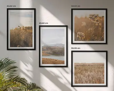 Set of 4 wall art pieces featuring landscape scenes of meadows mountains and a lake