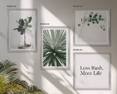 Multi-piece wall decor set Green plants minimalism