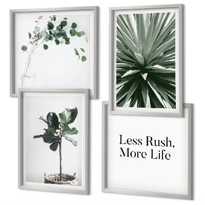 Multi-piece wall decor set Green plants minimalism
