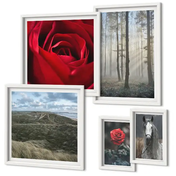 Framed photo set Nature flowers different styles