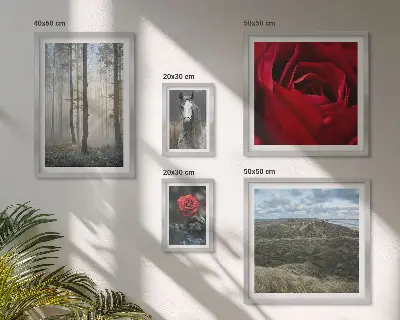 Framed photo set nature flowers in different styles