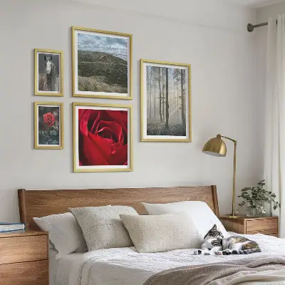 Framed photo set Nature flowers different styles