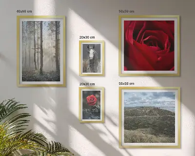 Framed photo set nature flowers in different styles