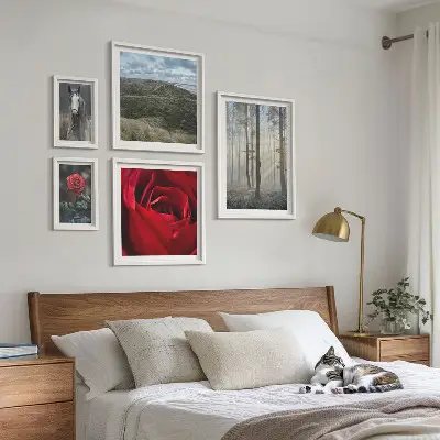 Framed photo set Nature flowers different styles