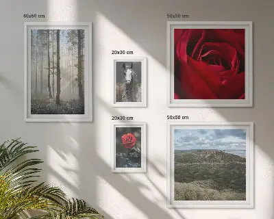 Framed photo set Nature flowers different styles
