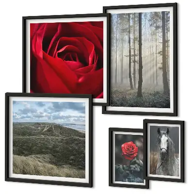 Framed photo set Nature flowers different styles