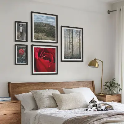 Framed photo set Nature flowers different styles