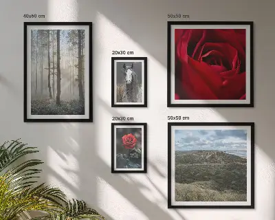 Framed photo set Nature flowers different styles