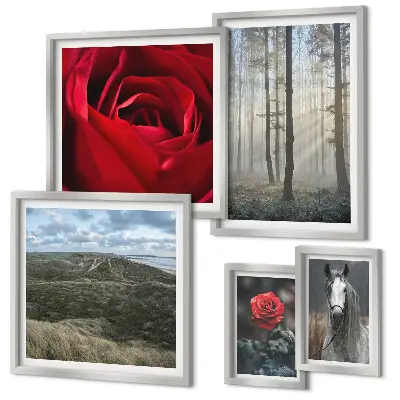 Framed photo set nature flowers in different styles