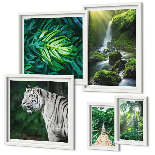 Framed photo set Tropical nature landscapes