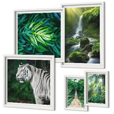 Framed photo set Tropical nature landscapes