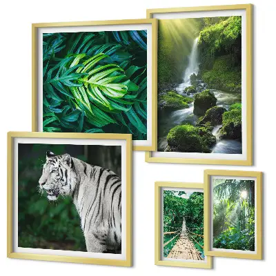 Framed photo set Tropical nature landscapes