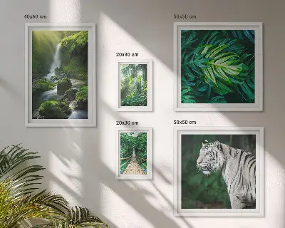 Framed photo set Tropical nature landscapes