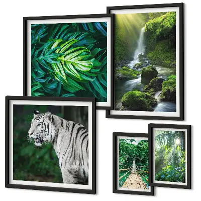 Framed photo set Tropical nature landscapes