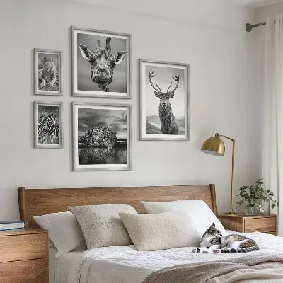 Framed photo set Black and white animals nature