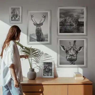 Framed photo set Black and white animals nature