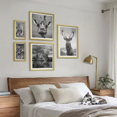 Framed photo set Black and white animals nature