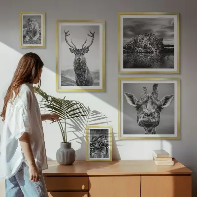 Framed photo set Black and white animals nature