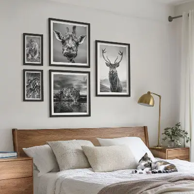 Framed photo set Black and white animals nature