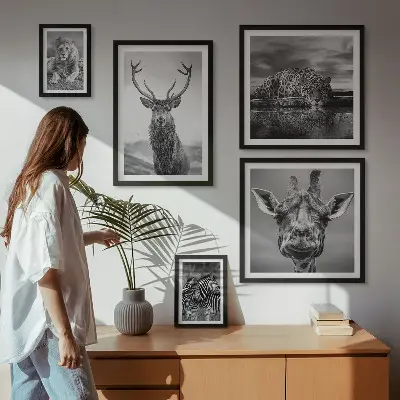 Framed photo set Black and white animals nature
