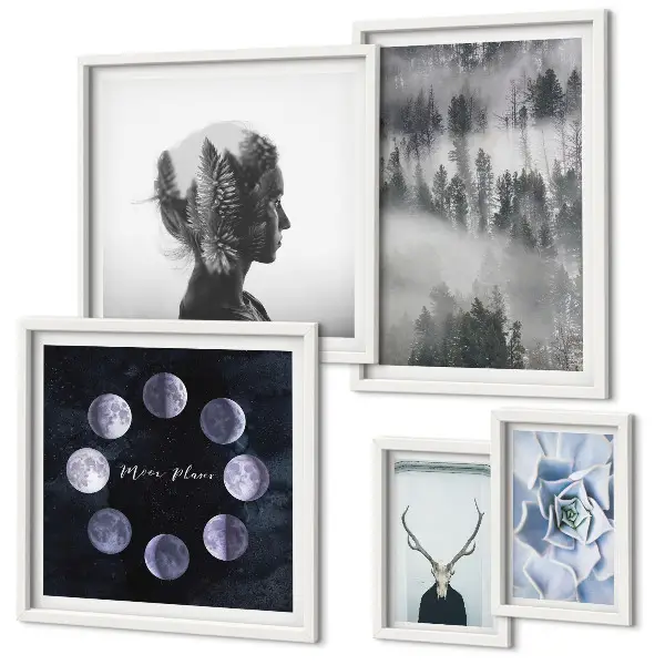 Framed photo set Natural forest space motifs