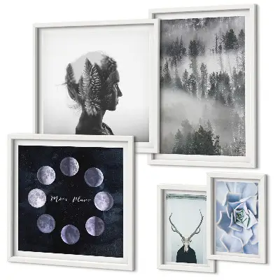 Framed photo set Natural forest space motifs
