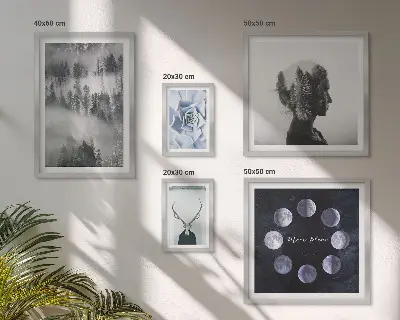 Framed photo set Natural forest space motifs