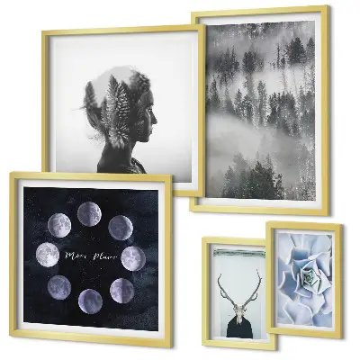 Framed photo set Natural forest space motifs