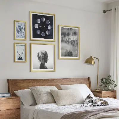 Framed photo set Natural forest space motifs