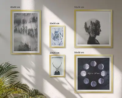 Framed photo set Natural forest space motifs