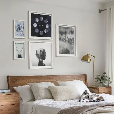 Framed photo set Natural forest space motifs
