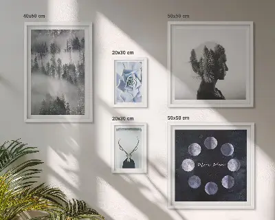 Framed photo set Natural forest space motifs