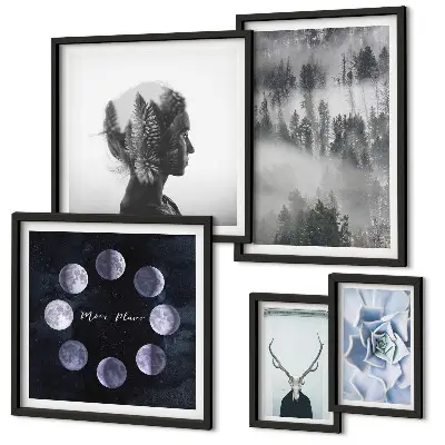 Framed photo set Natural forest space motifs