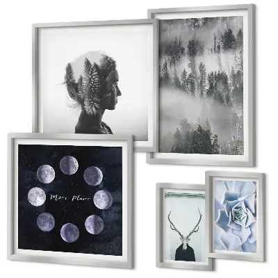 Framed photo set Natural forest space motifs