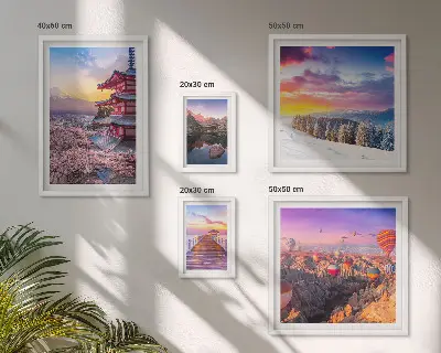 Asian mountains and flowers photo set framed