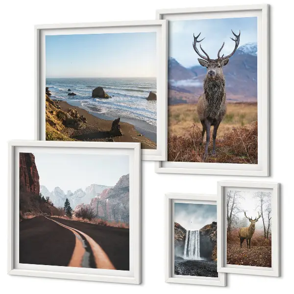 Gallery wall Nature wild animals landscapes